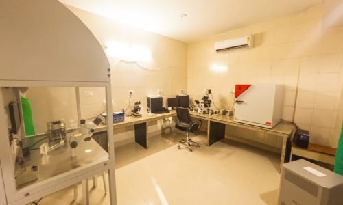 IMG_0042-1024x768 (1)